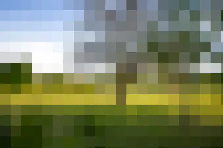 Borgersteeg 1 Neede thumbnail 11