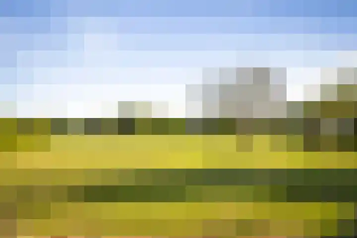 Borgersteeg 1 Neede thumbnail 13