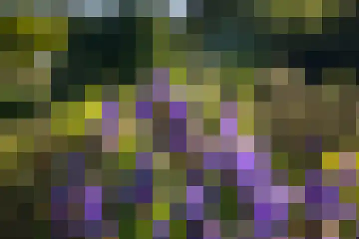 Borgersteeg 1 Neede thumbnail 14