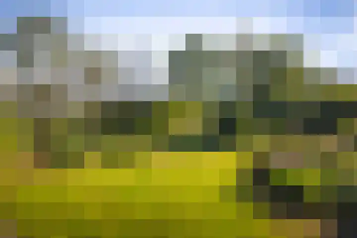 Borgersteeg 1 Neede thumbnail 15
