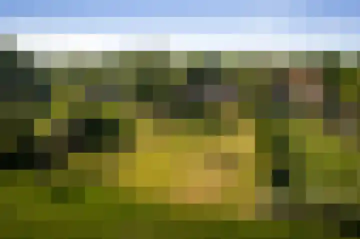 Borgersteeg 1 Neede thumbnail 16