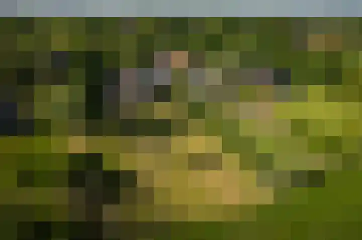Borgersteeg 1 Neede thumbnail 17