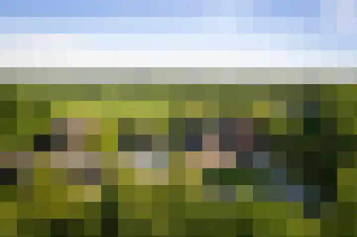 Borgersteeg 1 Neede thumbnail 18
