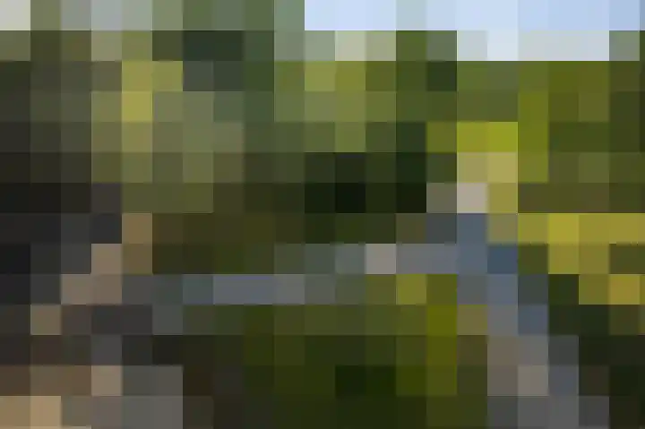 Borgersteeg 1 Neede thumbnail 19