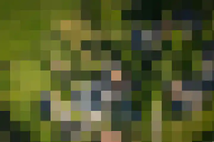 Borgersteeg 1 Neede thumbnail 20