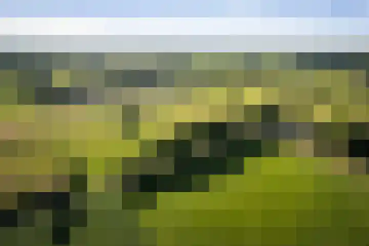 Borgersteeg 1 Neede thumbnail 21