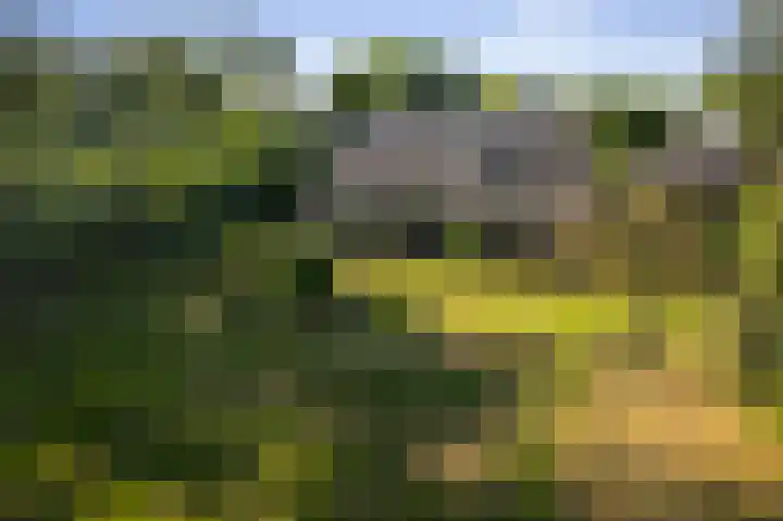 Borgersteeg 1 Neede thumbnail 5