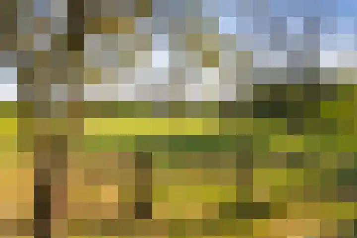 Borgersteeg 1 Neede thumbnail 6