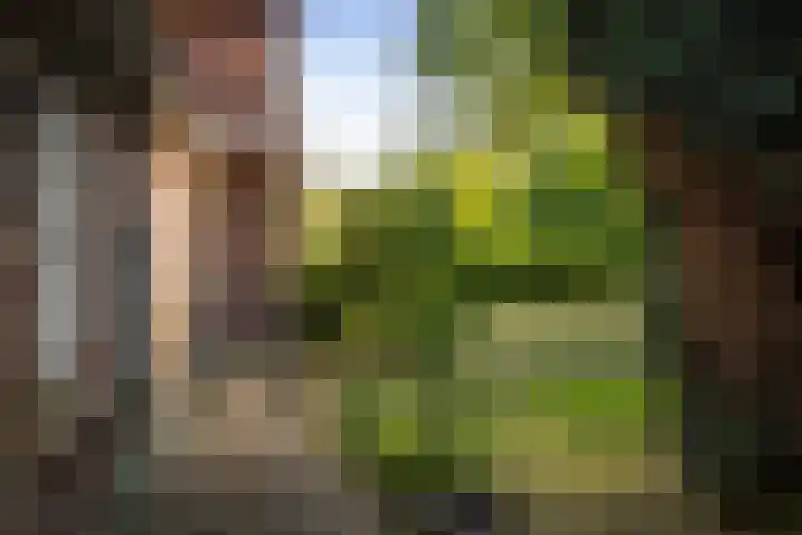 Borgersteeg 1 Neede thumbnail 9