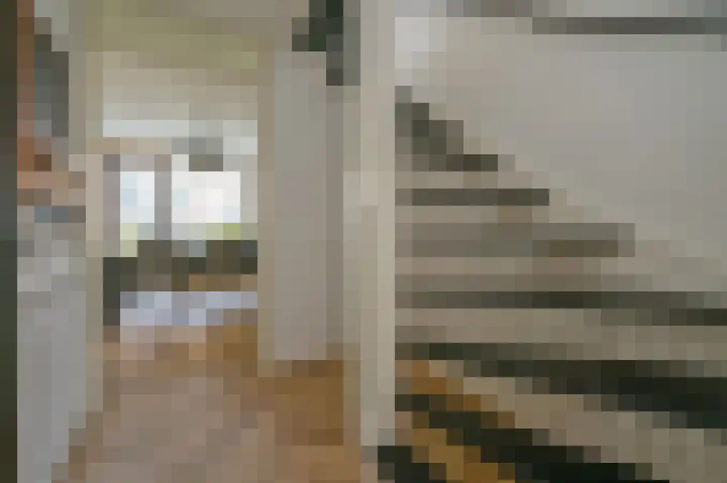 Borgerstraat 11 Den Haag thumbnail 12