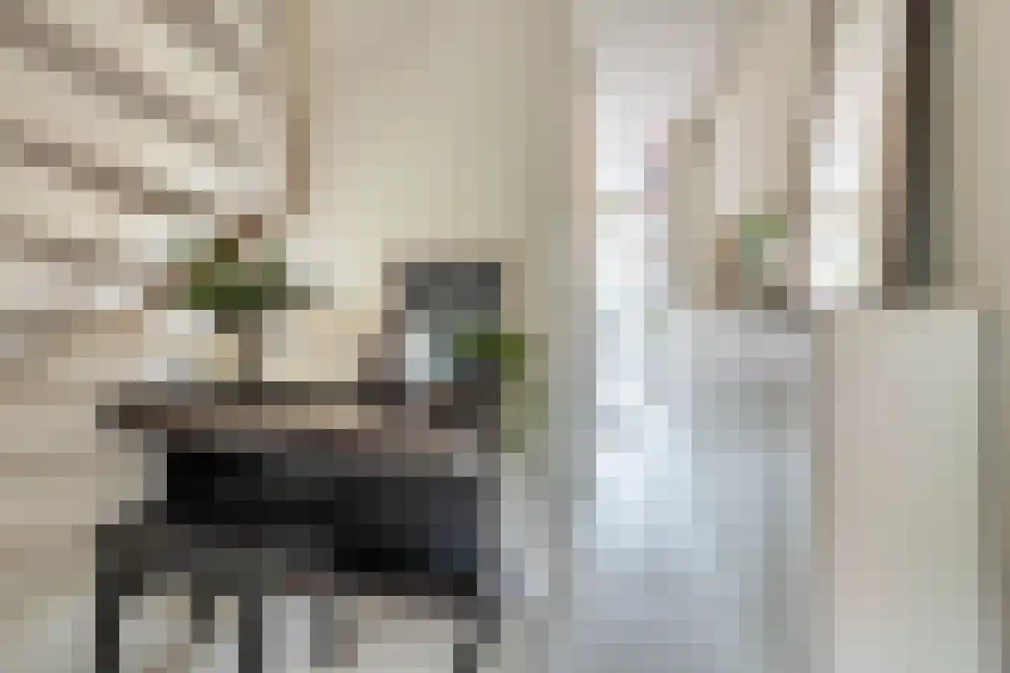 Borgerstraat 199 3 Amsterdam thumbnail 15