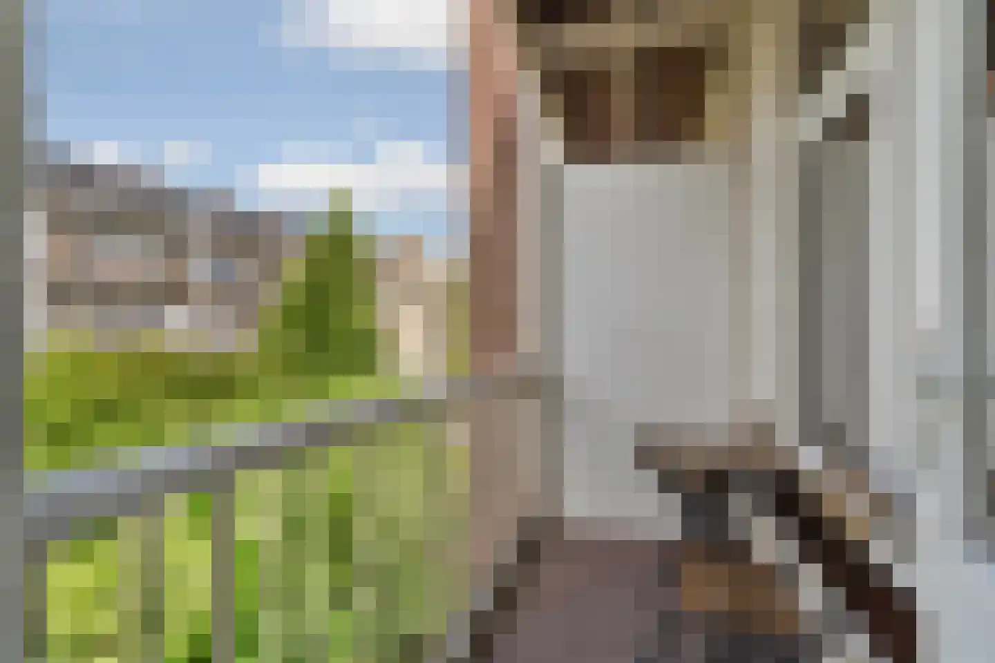 Borgerstraat 206 2 Amsterdam thumbnail 4