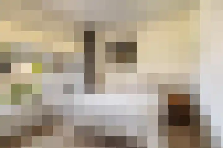 Borgerstraat 21 Amsterdam thumbnail 17