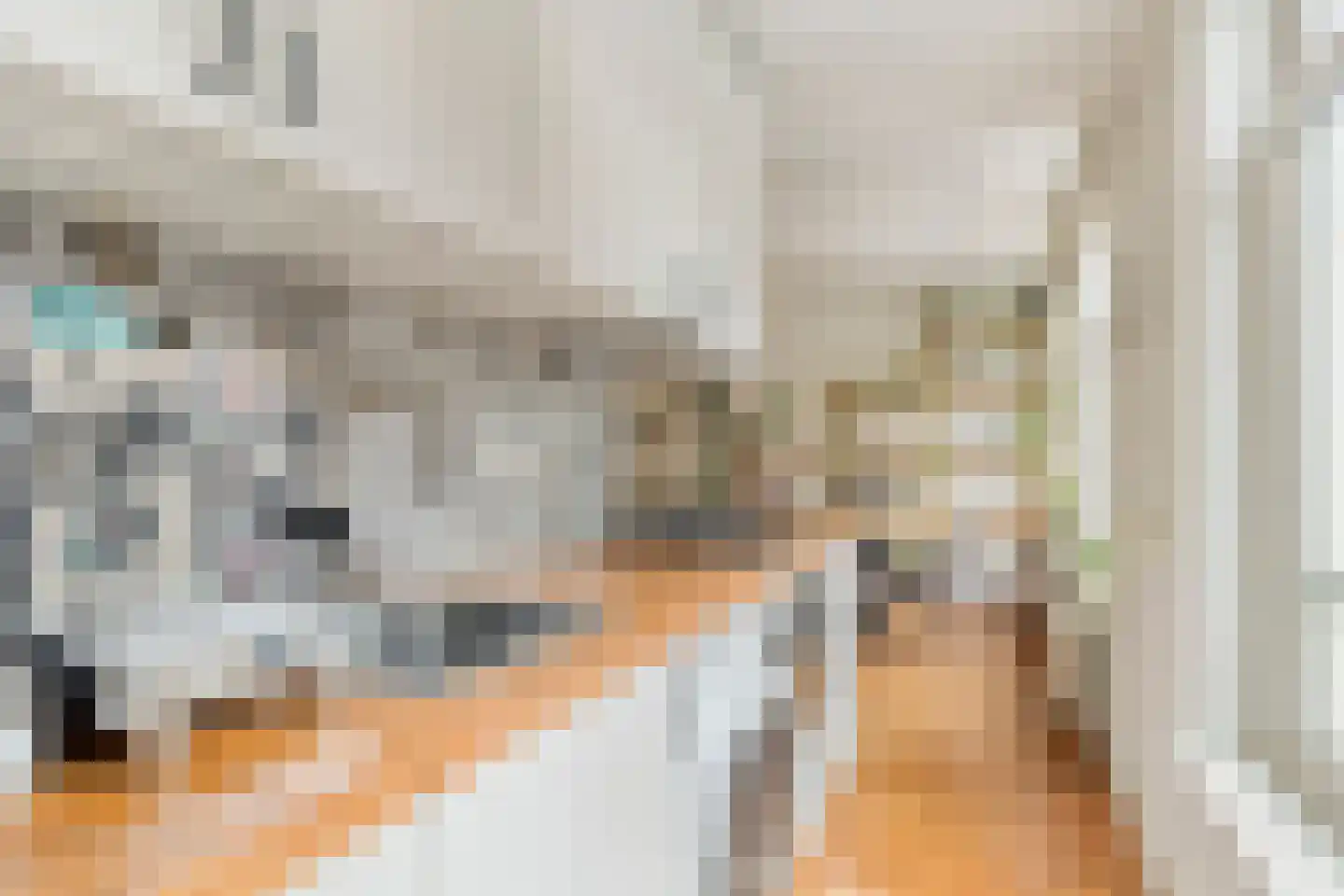 Borgerstraat 226 1 Amsterdam thumbnail 18
