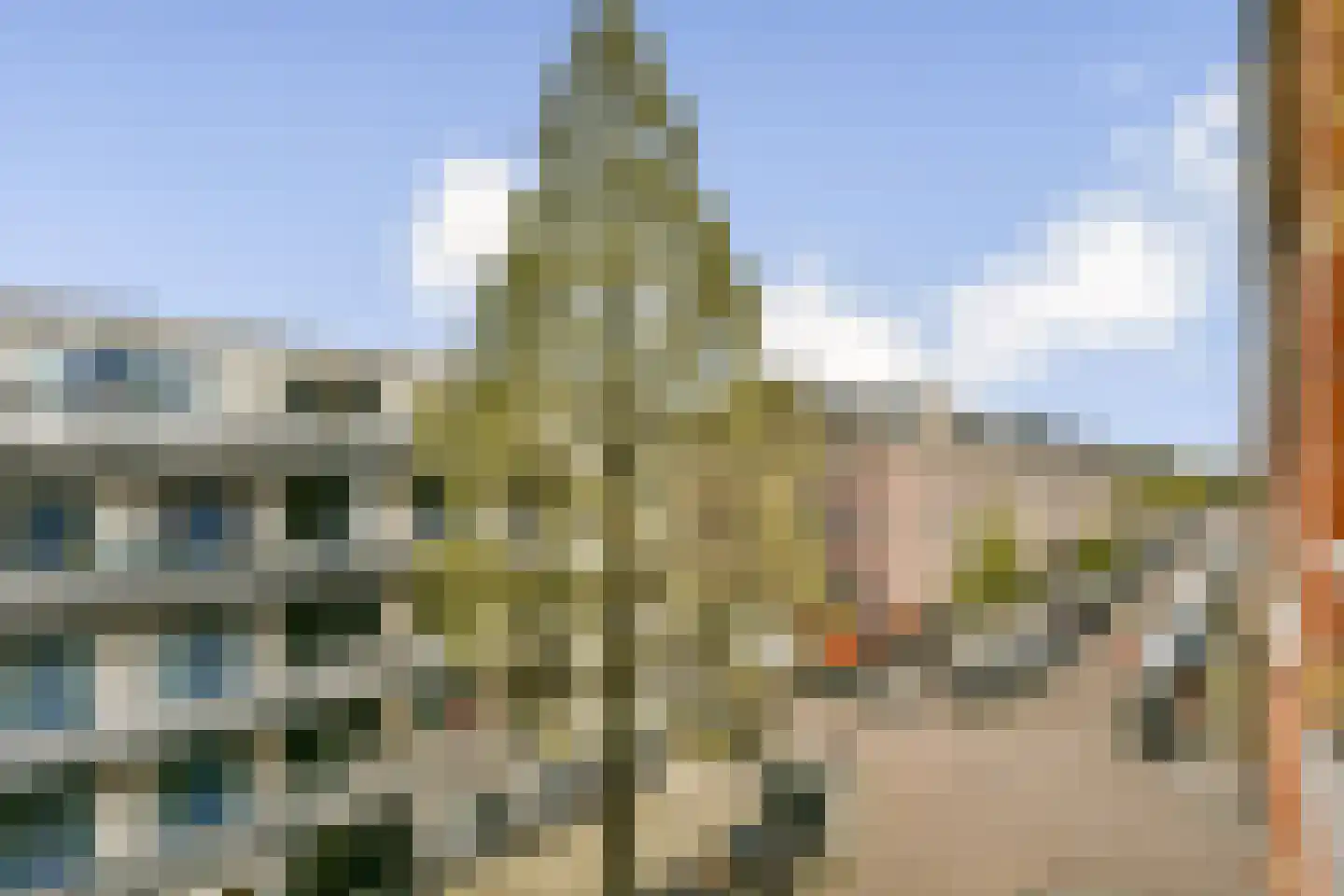 Borgerstraat 227 1 Amsterdam thumbnail 14