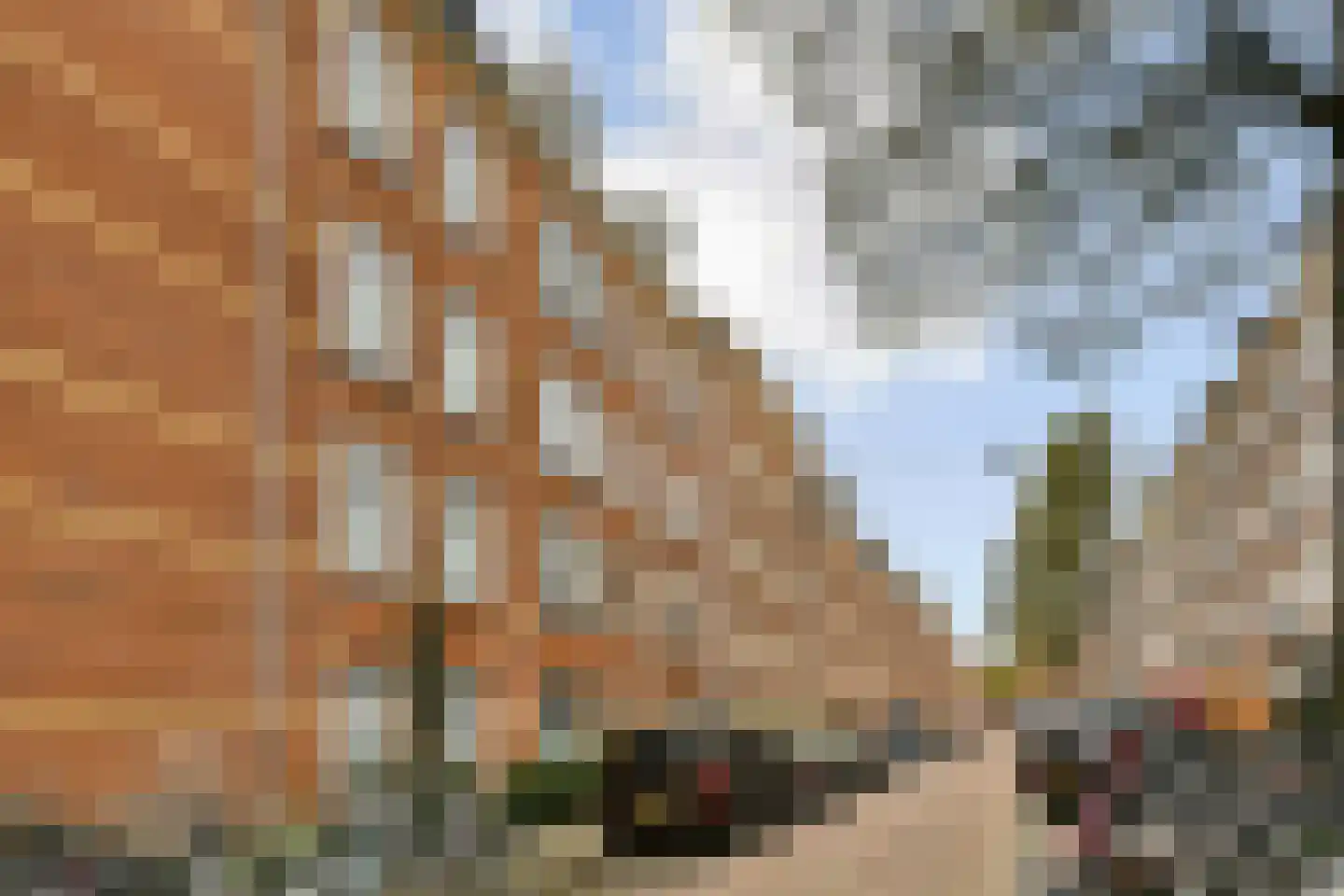 Borgerstraat 227 1 Amsterdam thumbnail 19