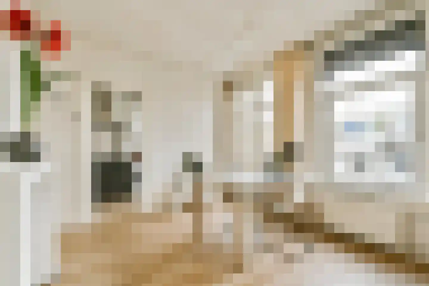 Borgerstraat 227 1 Amsterdam thumbnail 9
