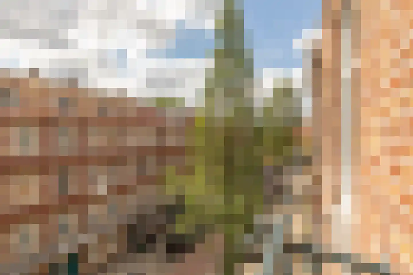 Borgerstraat 266 3 Amsterdam thumbnail 22