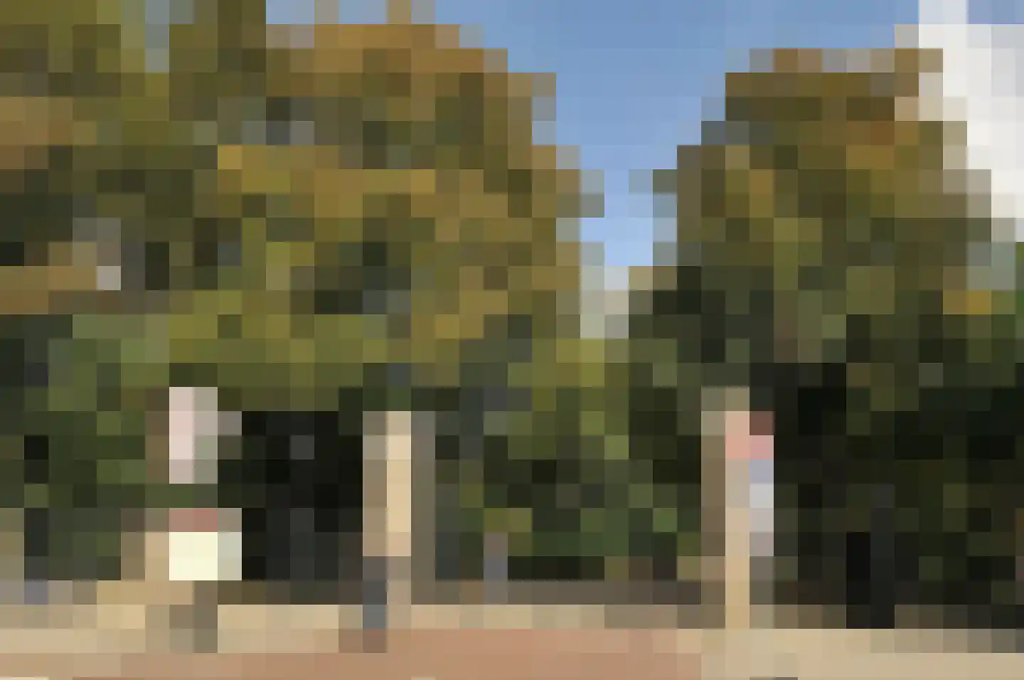 Borgerstraat 266 3 Amsterdam thumbnail 33
