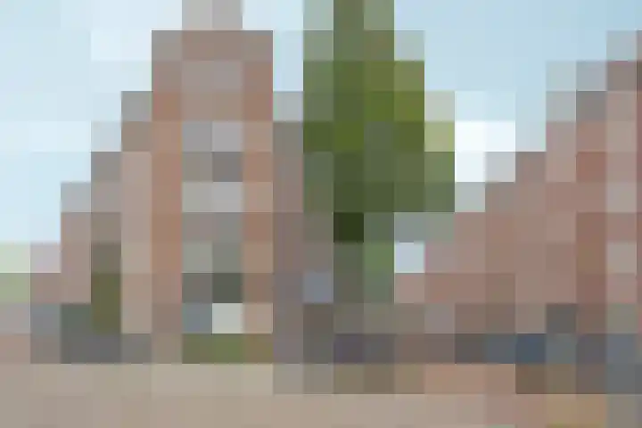 Borgerstraat 272 3 Amsterdam thumbnail 20