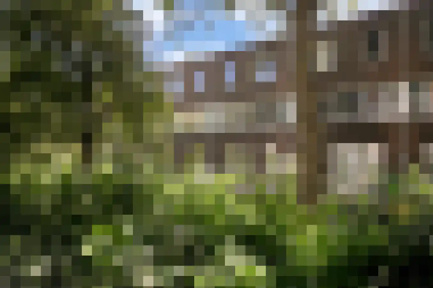 Borgerstraat 5 Den Haag thumbnail 39