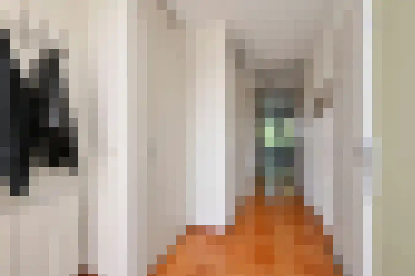 Borgerstraat 5 Den Haag thumbnail 8