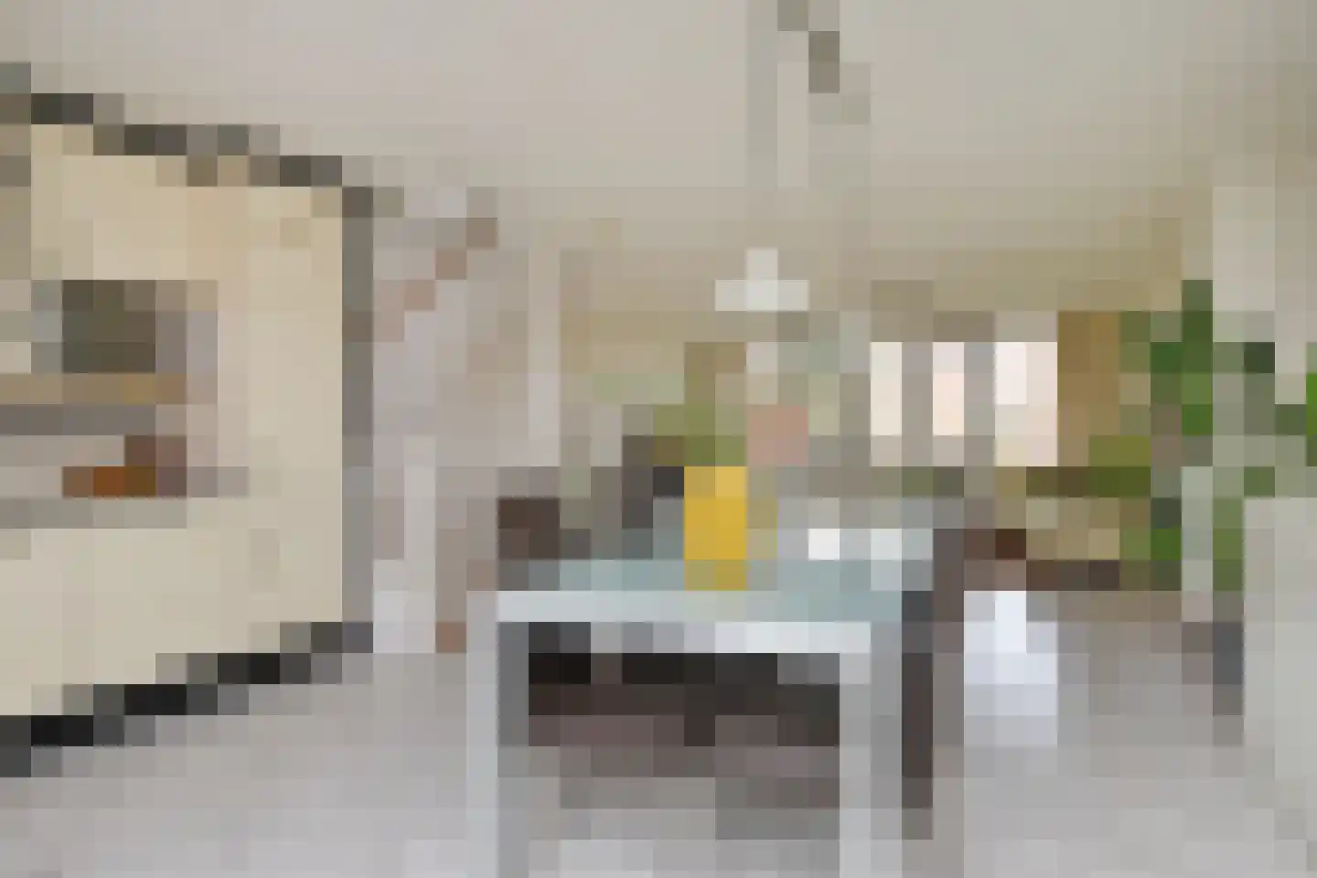 Borgerstraat 77 Den Haag thumbnail 8