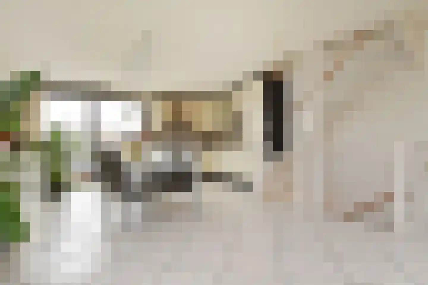 Borgerstraat 77 Den Haag thumbnail 9