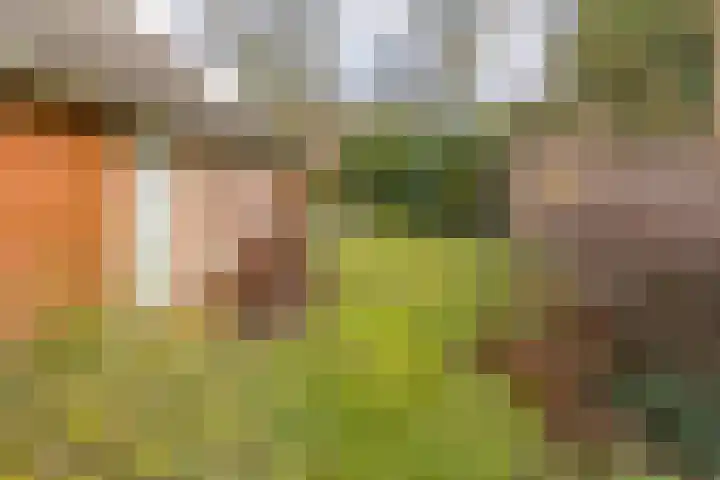 Borgerweg 12 Gasselte thumbnail 28