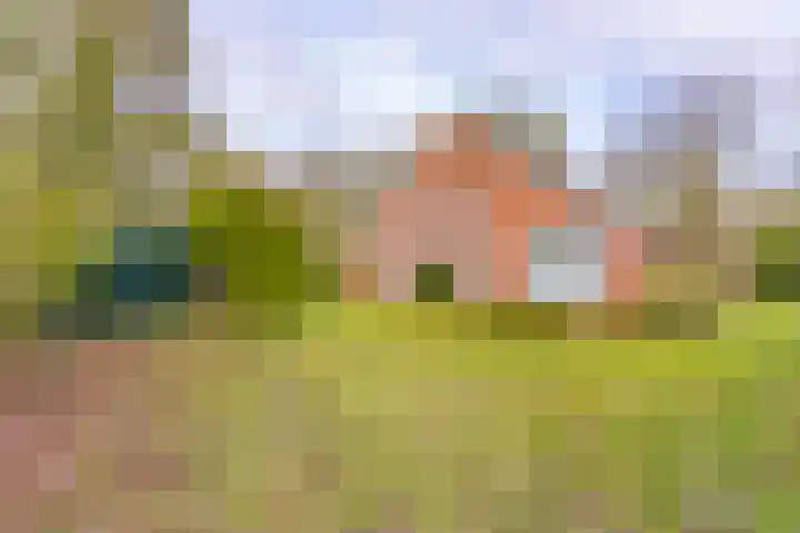 Borgerweg 12 Gasselte thumbnail 30
