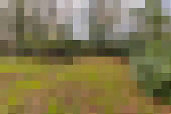 Borgerweg 12 Gasselte thumbnail 32