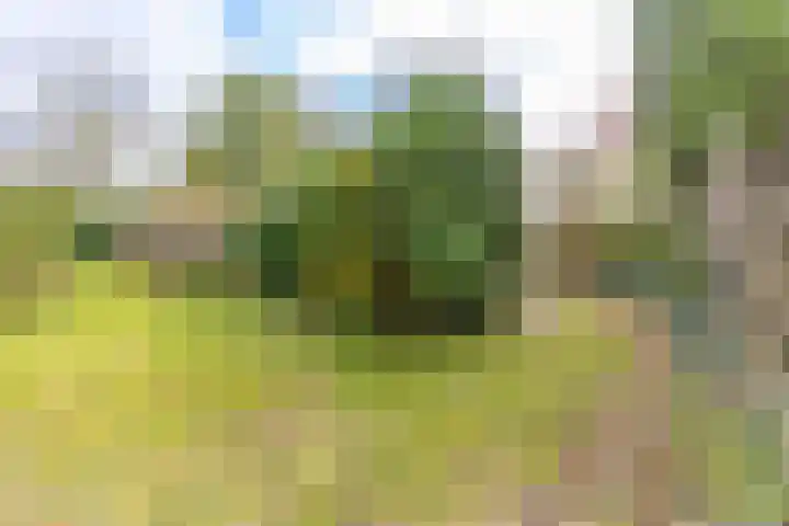 Borgerweg 12 Gasselte thumbnail 33