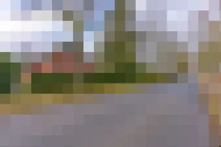 Borgerweg 12 Gasselte thumbnail 4