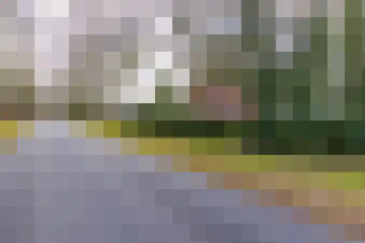 Borgerweg 12 Gasselte thumbnail 5