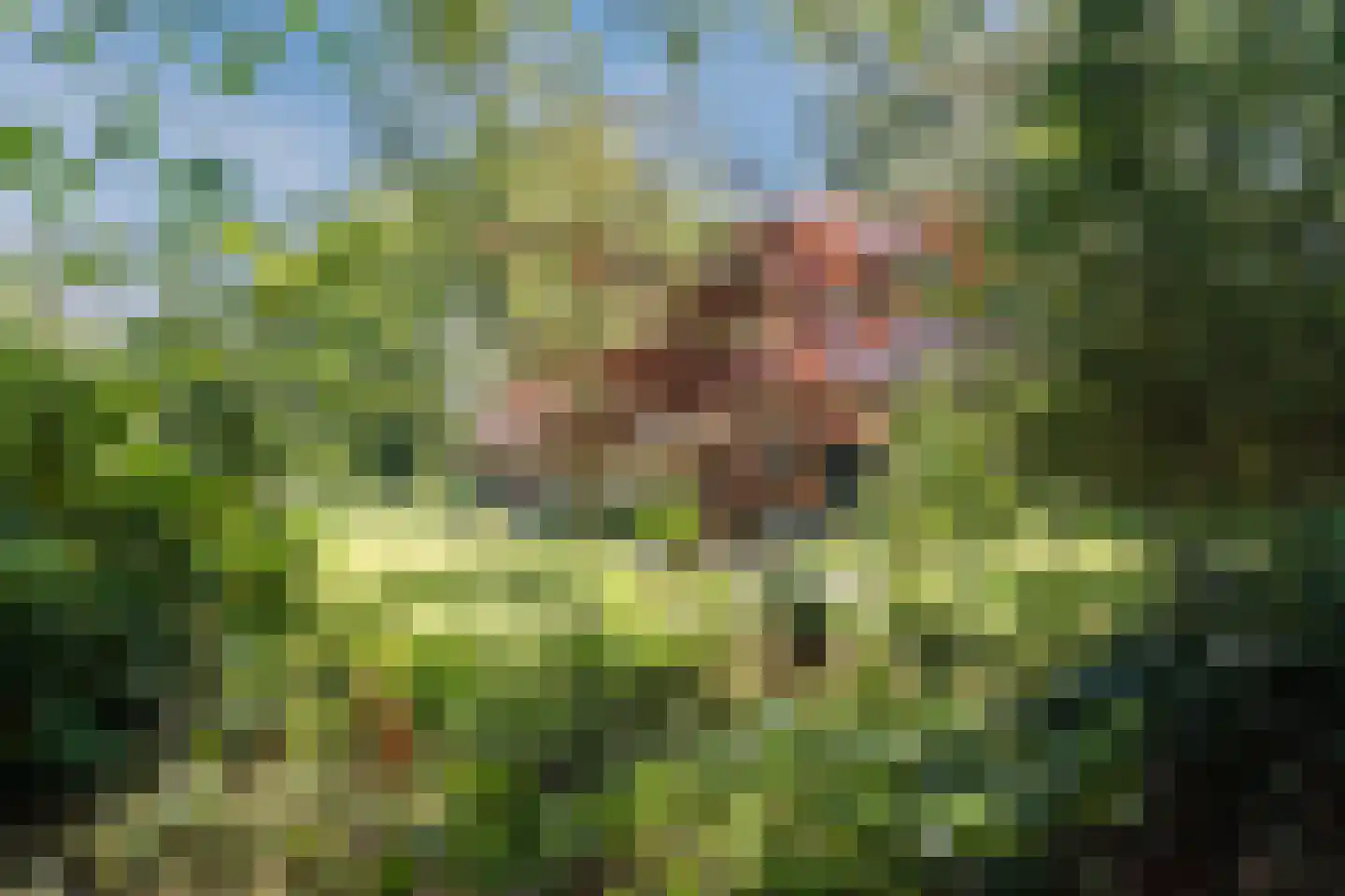 Borgerweg 12 Sellingen thumbnail 23