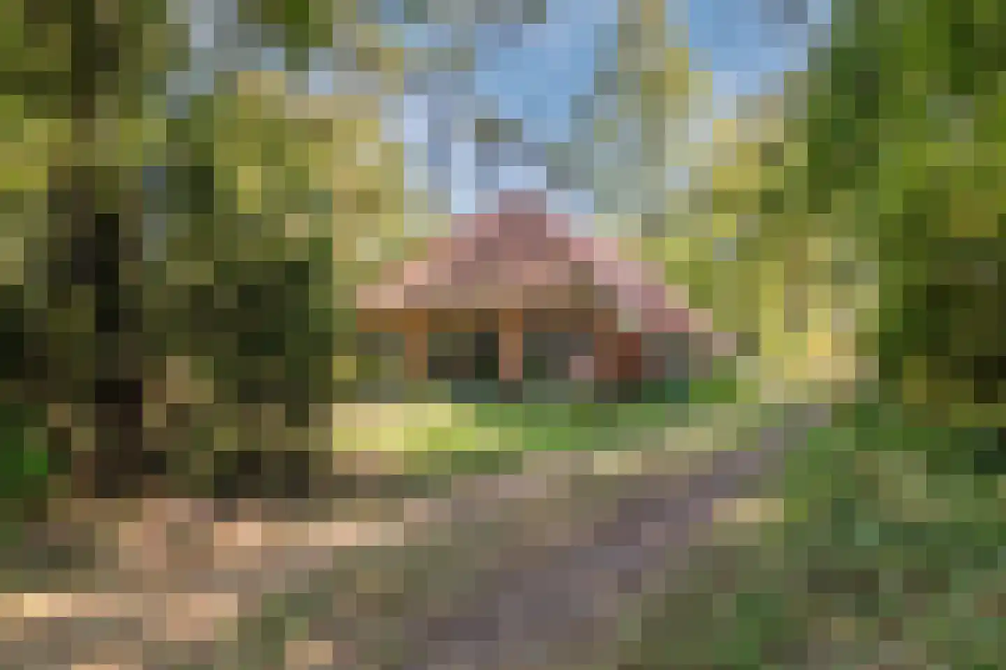 Borgerweg 12 Sellingen thumbnail 25