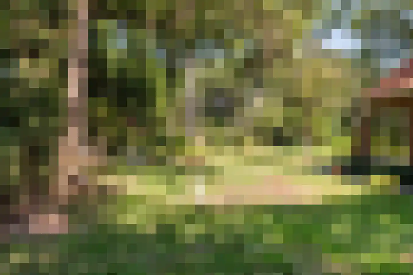 Borgerweg 12 Sellingen thumbnail 27