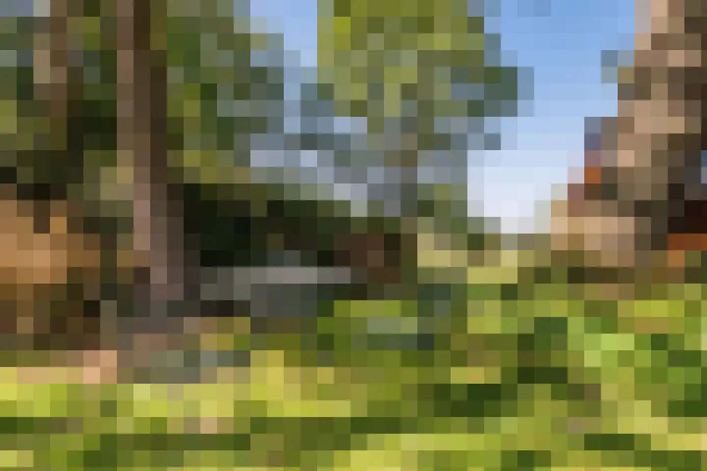 Borgerweg 12 Sellingen thumbnail 28