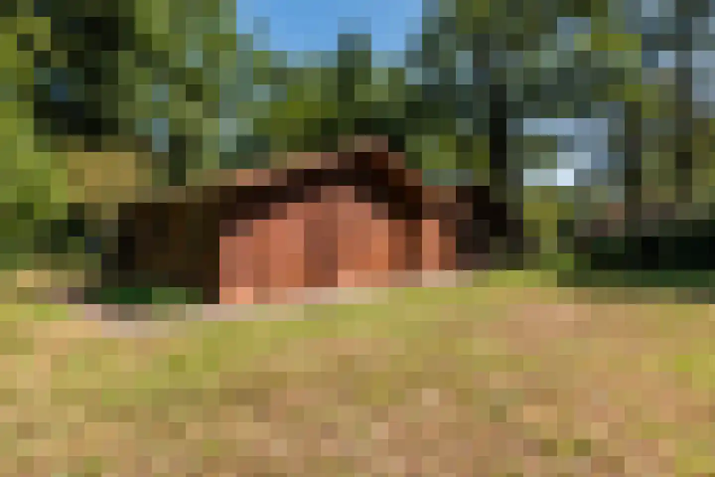 Borgerweg 12 Sellingen thumbnail 30