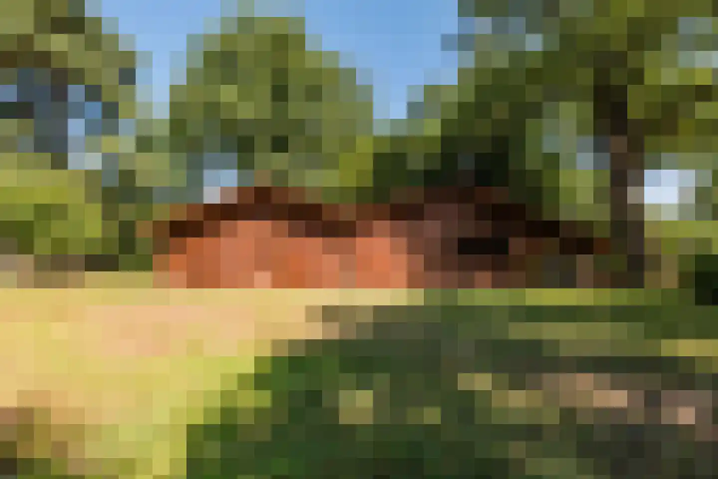 Borgerweg 12 Sellingen thumbnail 31