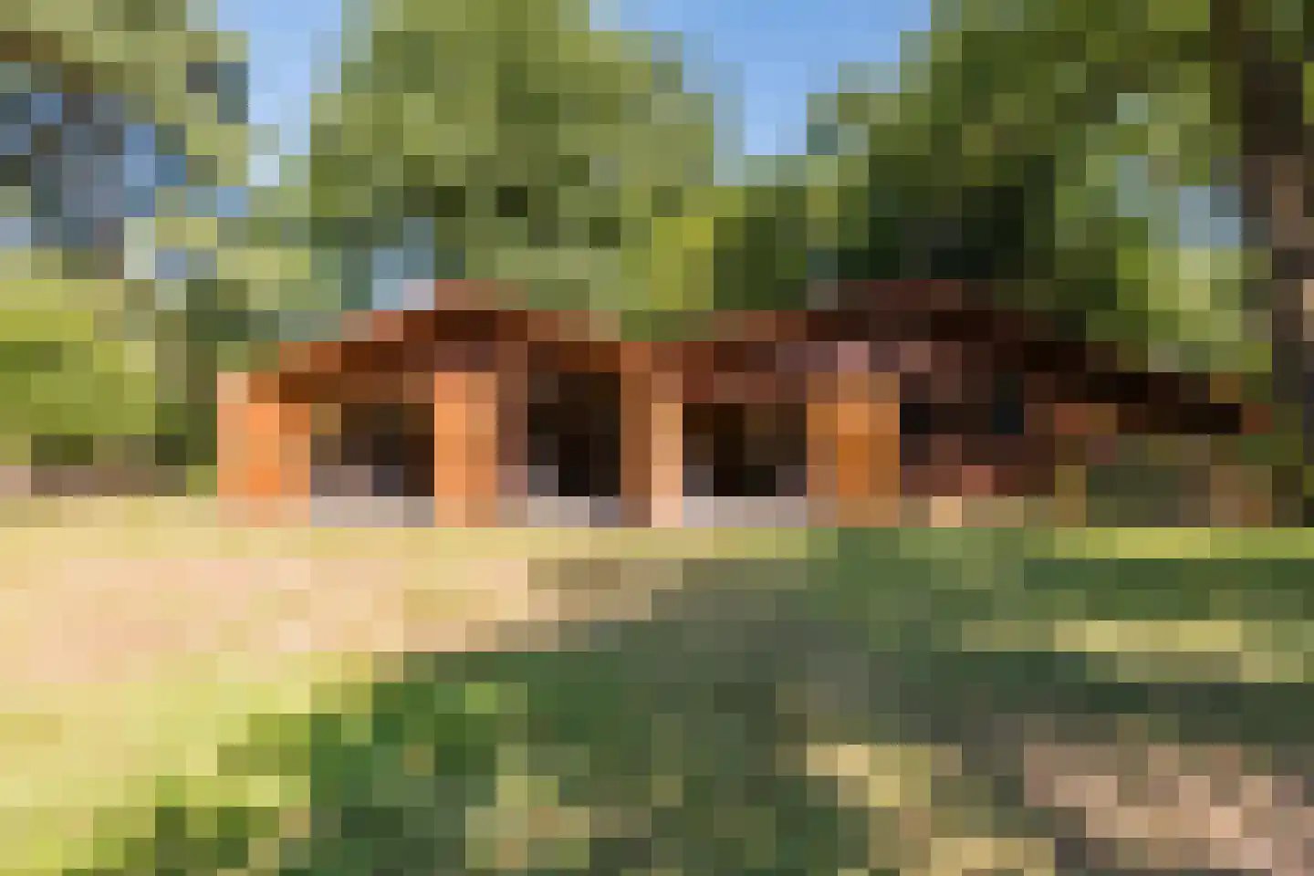 Borgerweg 12 Sellingen thumbnail 33