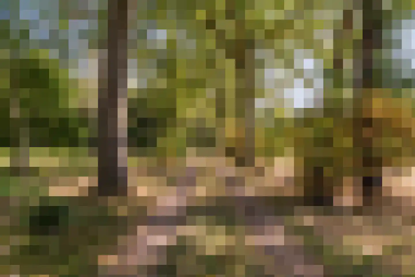 Borgerweg 12 Sellingen thumbnail 38