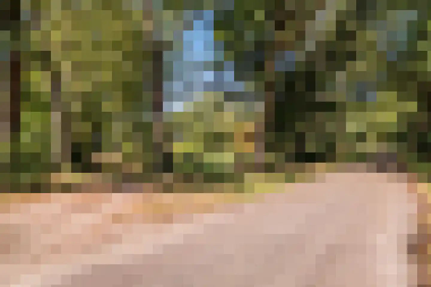 Borgerweg 12 Sellingen thumbnail 39