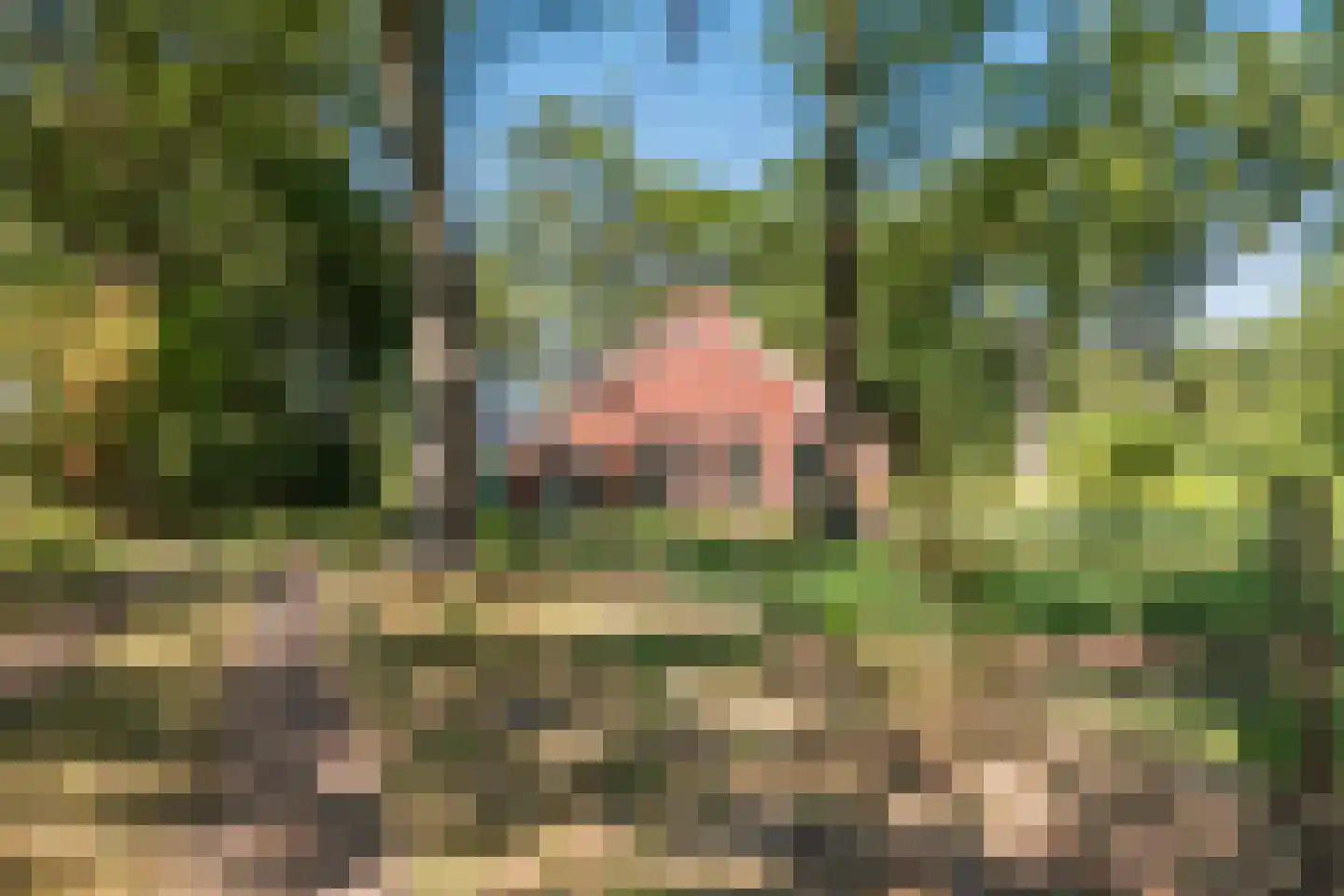 Borgerweg 12 Sellingen thumbnail 4