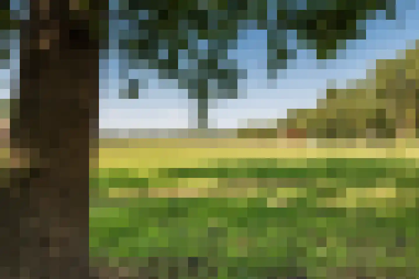 Borgerweg 12 Sellingen thumbnail 40