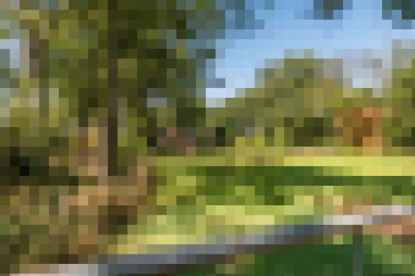 Borgerweg 12 Sellingen thumbnail 42