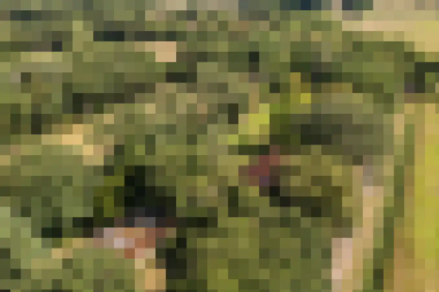 Borgerweg 12 Sellingen thumbnail 43