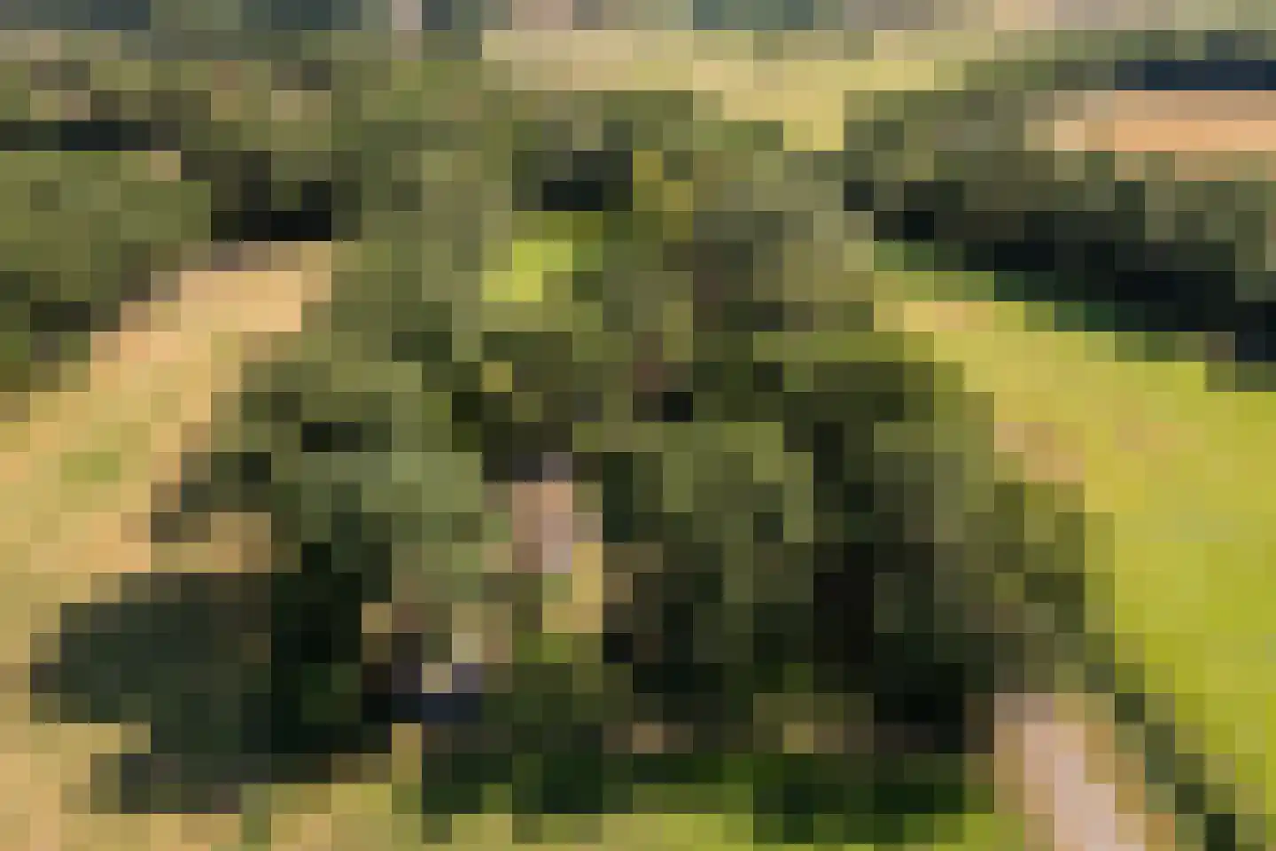 Borgerweg 12 Sellingen thumbnail 44