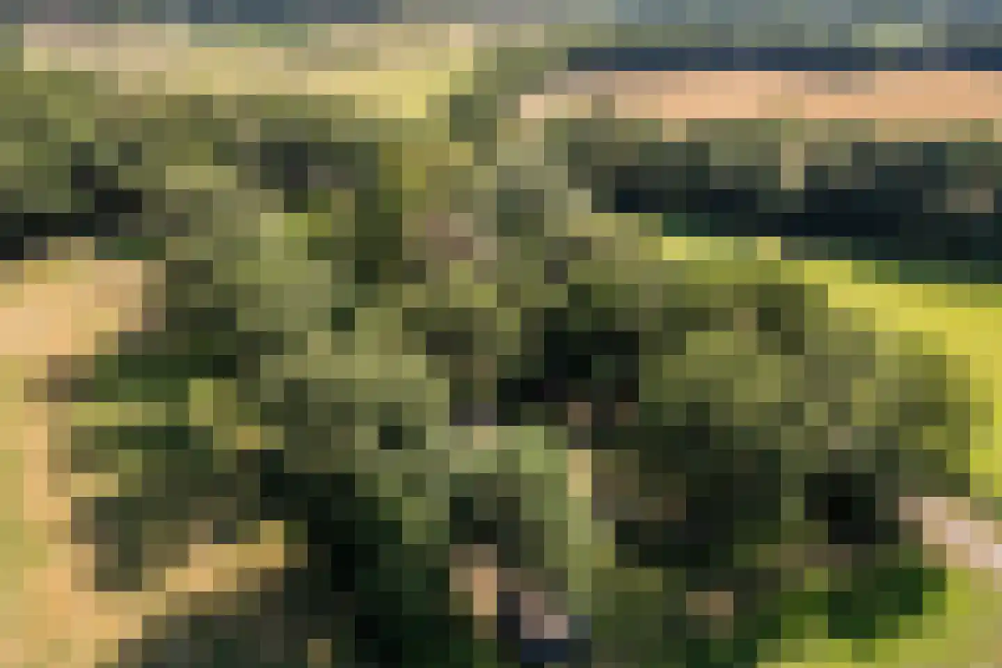 Borgerweg 12 Sellingen thumbnail 45