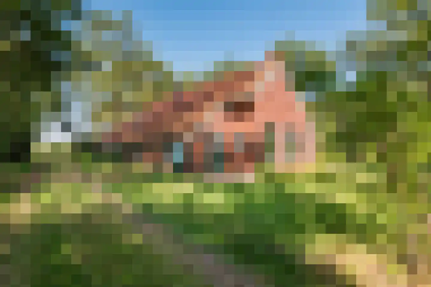Borgerweg 12 Sellingen thumbnail 5